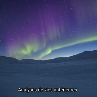 Analyses de vies antérieures 