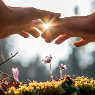 Reiki a distance