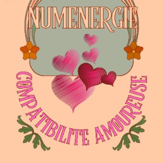 Numénergie compatibilité 