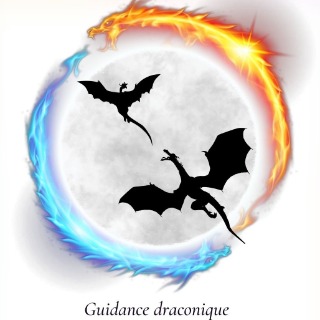 Guidance des dragons