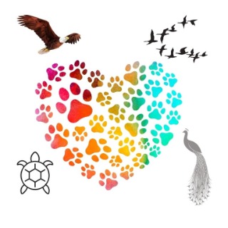 Guidance animaux totems