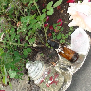 Boutique Angelique444