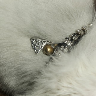 Boutique Angelique444