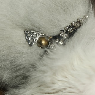 Boutique Angelique444