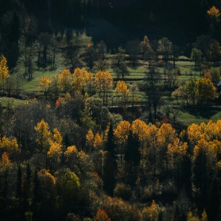 Soin énergétique karmique
