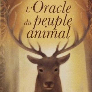 Guidande avec le peuple animal