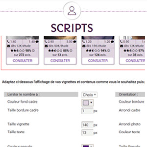 script et widget voyance