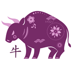 astrologie chinoise : boeuf