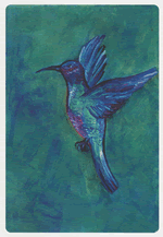 Colibri