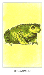 Le crapaud