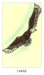 L'aigle