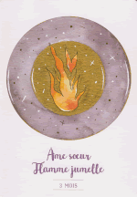 Âme soeur flamme jumelle