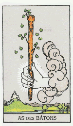 As des bâtons
