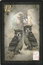 Les oiseaux petit lenormand