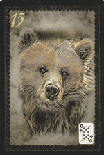 L'ours petit lenormand