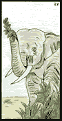 L'éléphant Oracle Gé