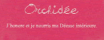 Orchidée