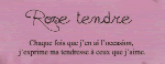 Rose tendre