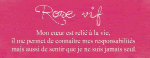 Rose vif