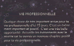 Vie professionnelle