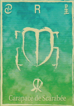 Carapace de scarabée