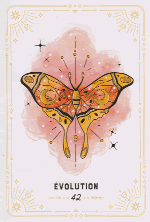 Évolution