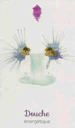 Douche énergétique