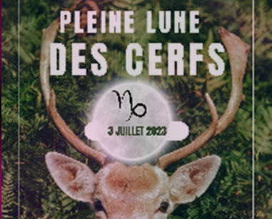 Lune cerfs