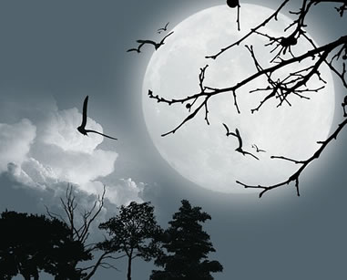 Blog : Pleine lune froide