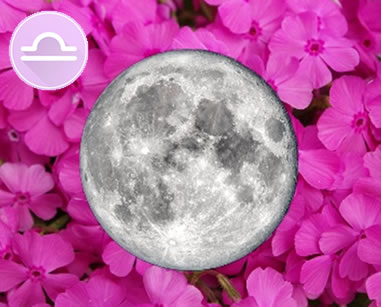 Blog : pleine lune rose